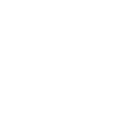 EE Full Fibre 1.6 Gbps logo